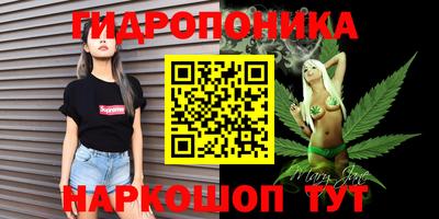 стаф Кунгур