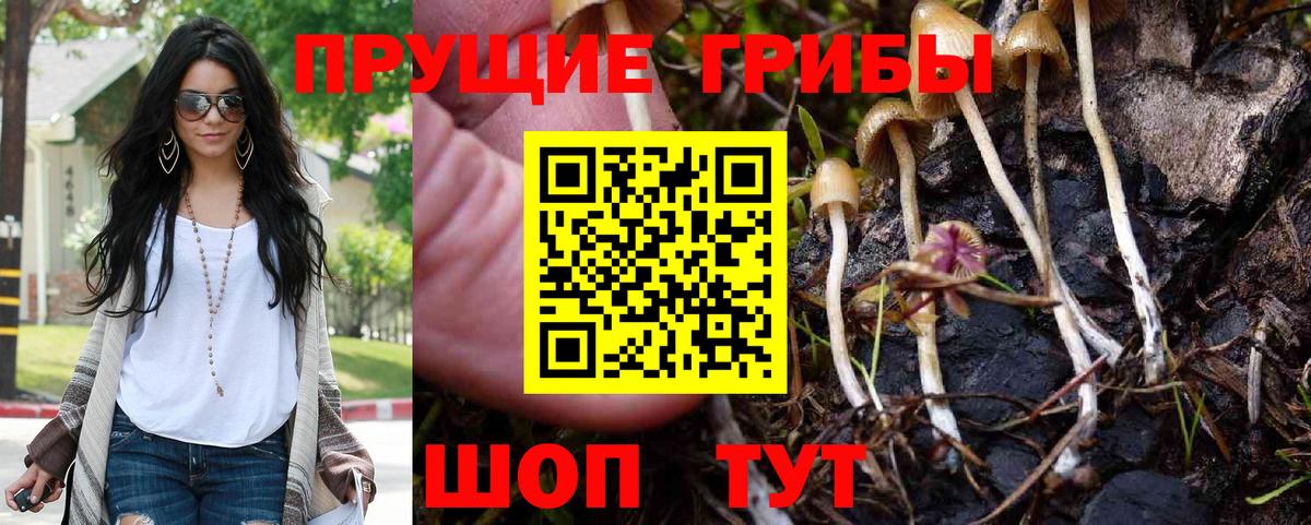 Галлюциногенные грибы Magic Shrooms Урай