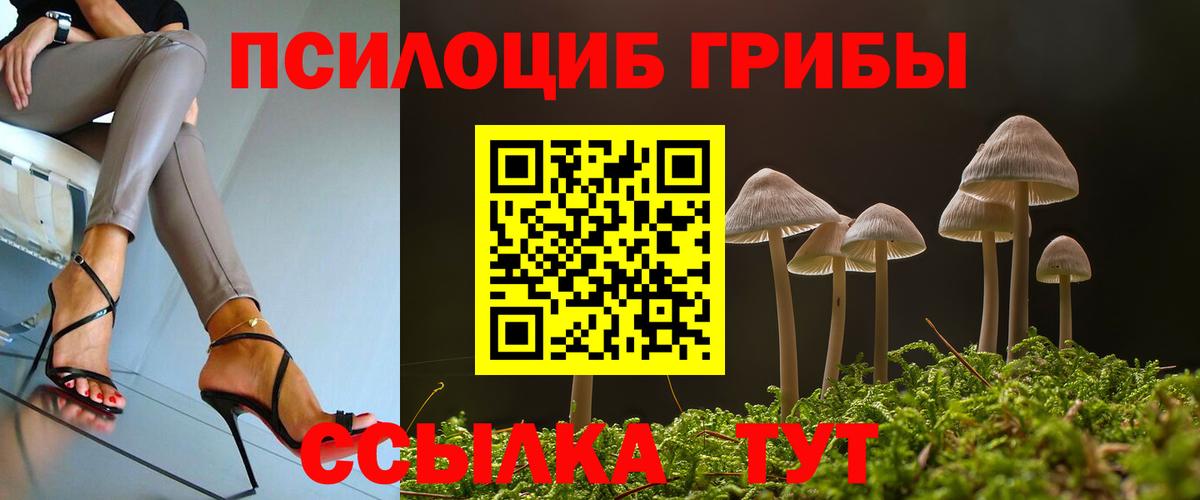 Урай  Псилоцибиновые грибы Psilocybine cubensis  Вход с VPN 